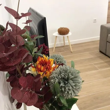 Apartamento Hyp - Geranios