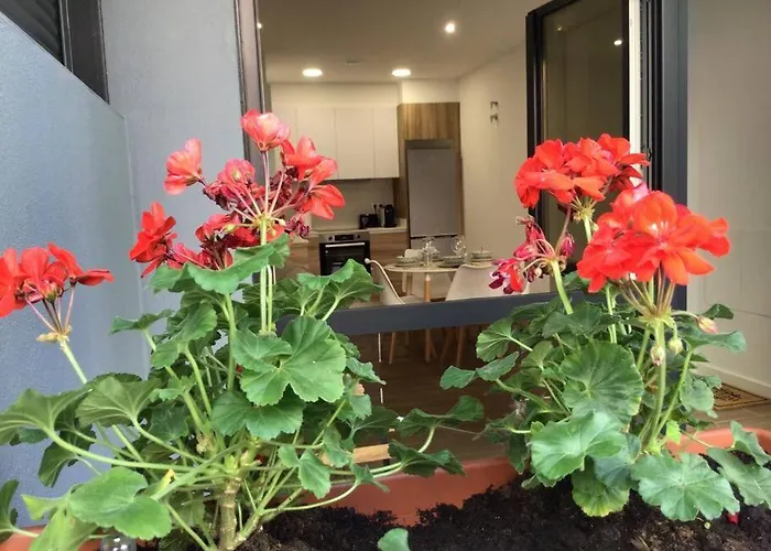 Hyp - Geranios Apartamento *