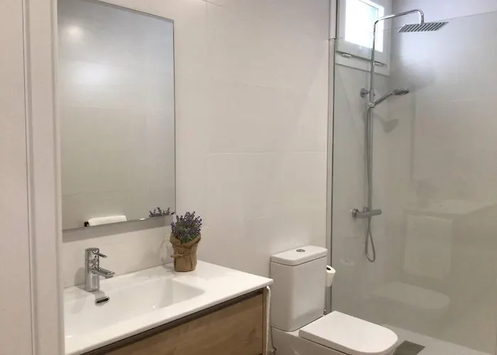 Hyp - Geranios * Redondela